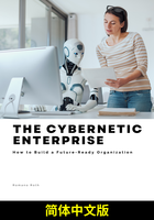 网络化企业（简体中文版）