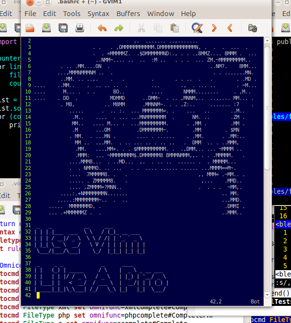 Use Vim Like A Pro by Tim Ottinger [Leanpub PDF/iPad/Kindle]