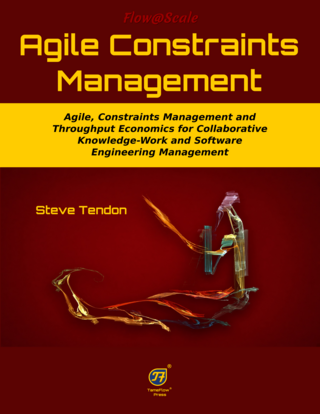 Agile Constraints Management