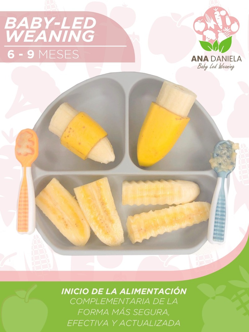 Baby Led Weaning Inicio Por Ana Daniela Leanpub Pdf Ipad Kindle