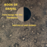 Book of Daniel cover