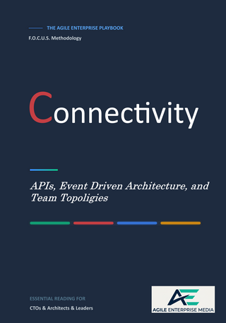 The Agile Enterprise Playbook - Connectivity