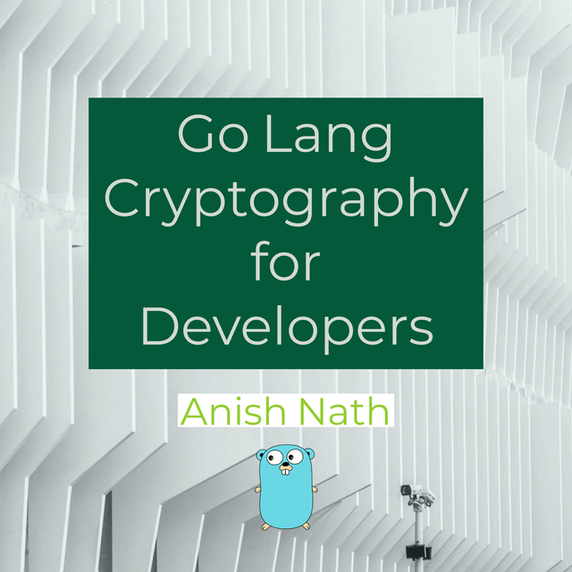 GoLang Cryptography for… by Anish Nath [Leanpub PDF/iPad/Kindle]
