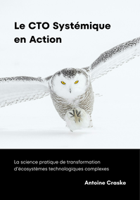 Le CTO Systémique en Action