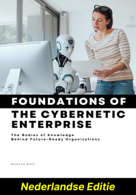 Grondslagen van De Cybernetische Enterprise (Nederlandse Editie)