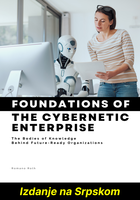 Osnove kibernetskog preduzeća (Izdanje na Srpskom)