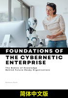 网络化企业的基础原理（简体中文版）