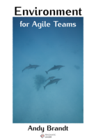 Environment for Agile Teams