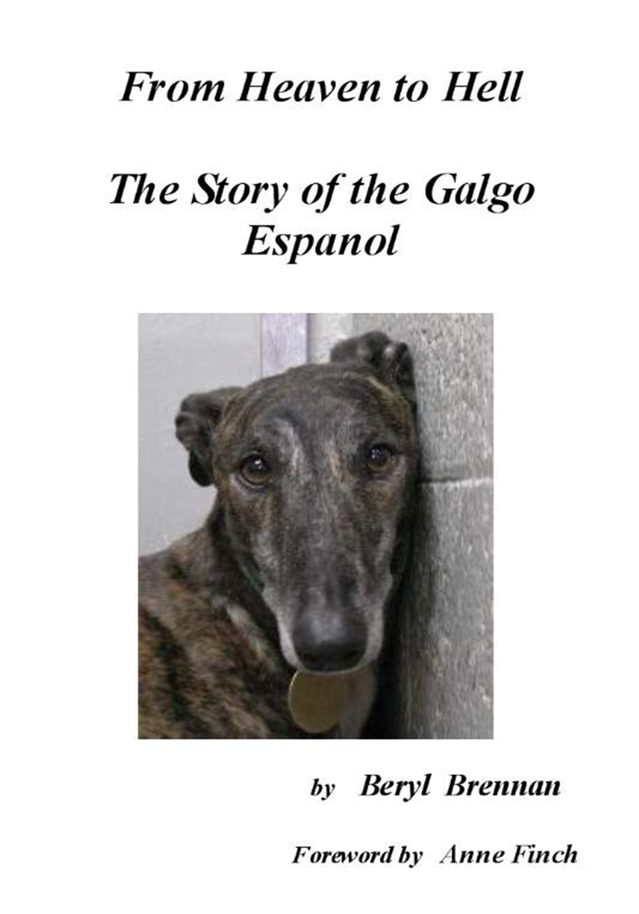 what health problems do galgo espanol have