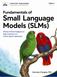 Fundamentals of Small Language Models (SLMs)