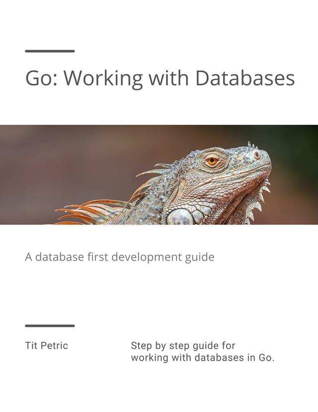 Go With Databases by Tit Petric [Leanpub PDF/iPad/Kindle] image.