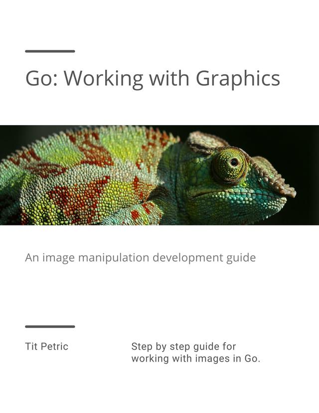 Go With Graphics by Tit Petric [Leanpub PDF/iPad/Kindle]