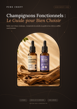 Champignons fonctionnels : le guide pour bien choisir (édition 2026)