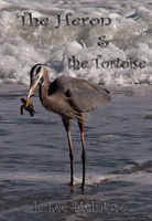 The Heron and the Tortoise