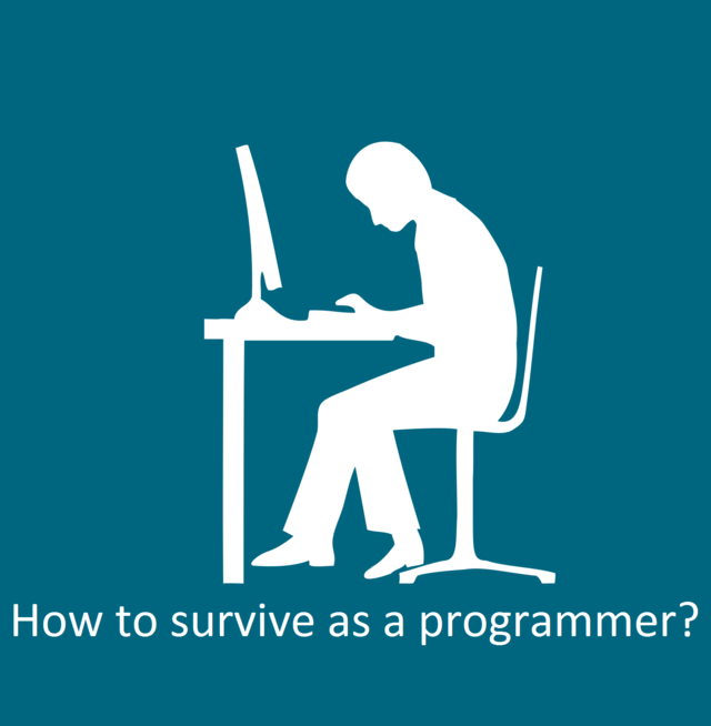 How To Survive As A Programmer Leanpub Pdf Ipad Kindle