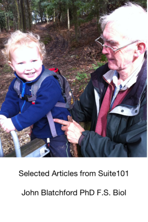 Selected Articles from Suite 101
