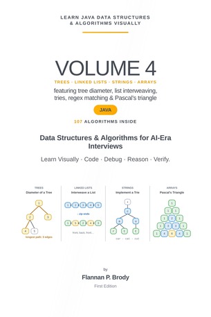 Learn Java Data Structures & Algorithms Visually - Volume 4