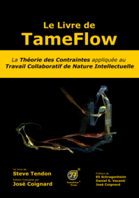 Cover of Le Livre de TameFlow