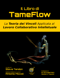 Il Libro di TameFlow