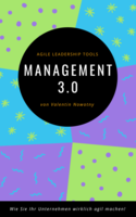 Management 3.0: Agile Leadership Tools