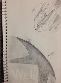 Negative Space in Intelligence