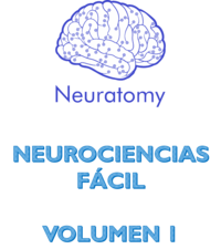 Neurociencias, Fácil: Volumen 1