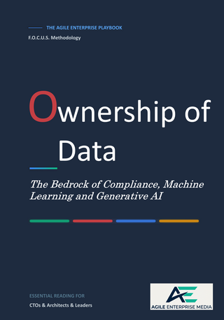 The Agile Enterprise Playbook - Ownership of Data