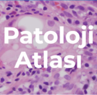 Patoloji Atlası