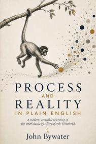 Process and Reality: in Plain English