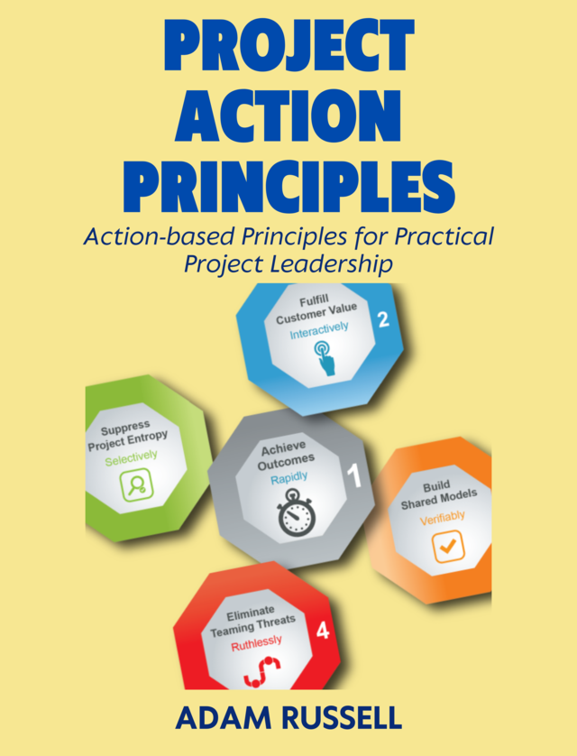 Project Action Principles [Leanpub PDF/iPad/Kindle]