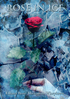 Rose in Ice cover