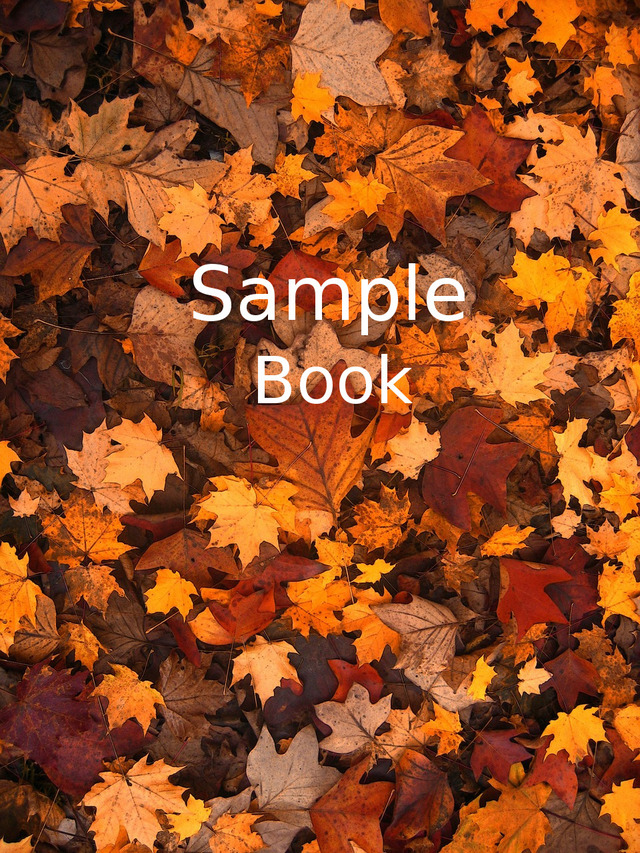 Sample book [Leanpub PDF/iPad/Kindle]