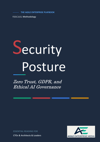 The Agile Enterprise Playbook - Security Posture