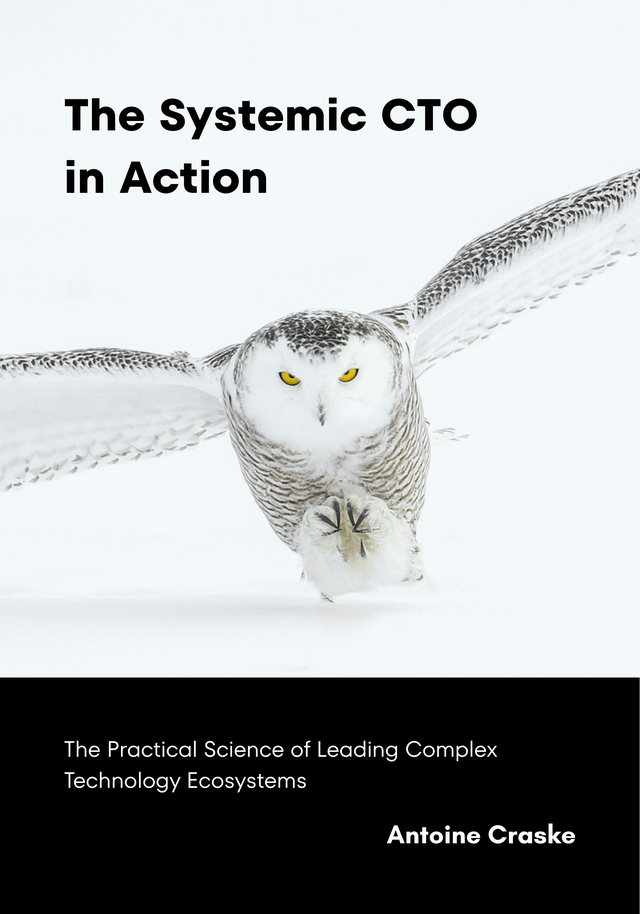 The Systemic CTO in Action [Leanpub PDF/iPad/Kindle]