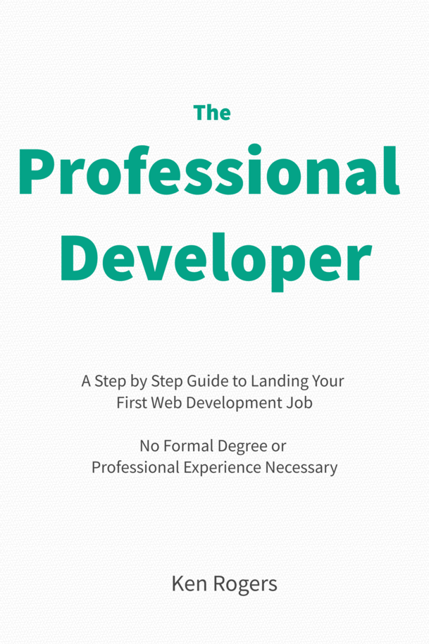 The Professional Developer [Leanpub PDF/iPad/Kindle]