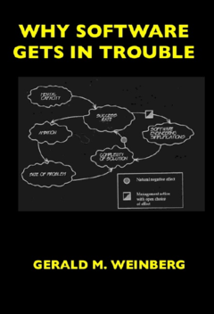 Why Software Gets In Trouble